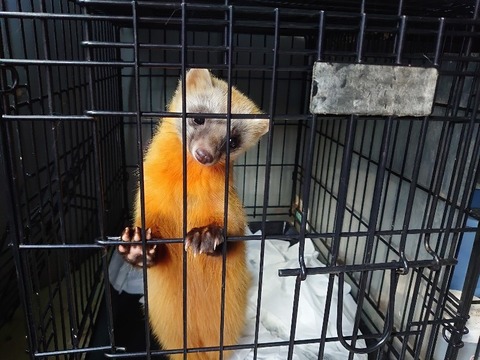 DSC_1897_copy_800x600