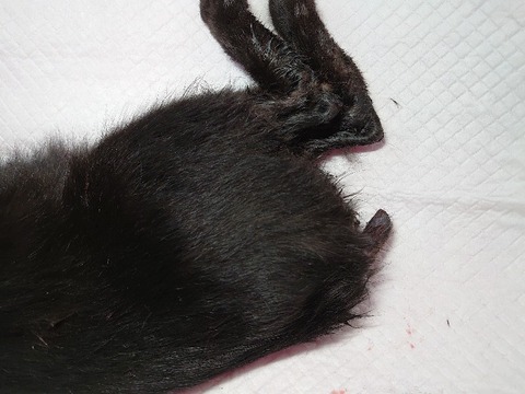 DSC_0617_copy_800x600