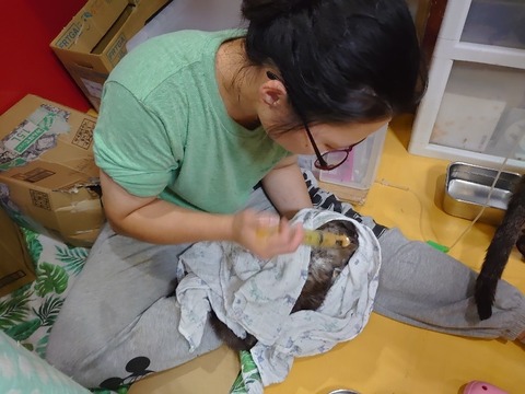 DSC_0614_copy_800x600