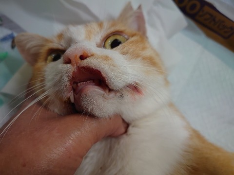 DSC_0846_copy_800x600