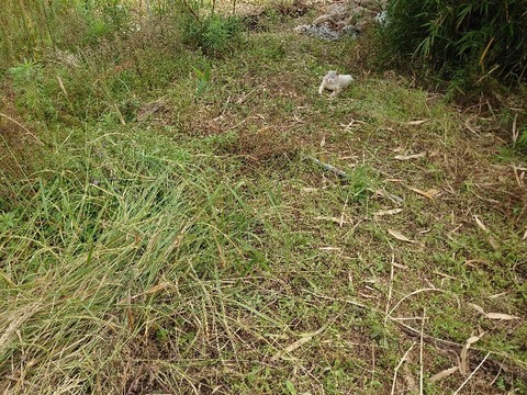 DSC_5987_copy_800x600