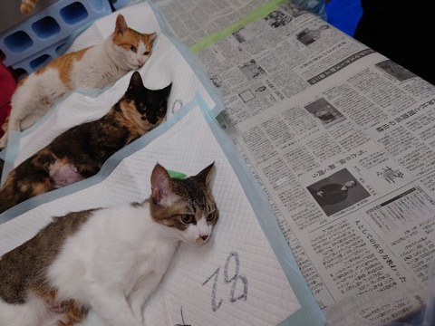 20240124_135047_copy_800x600