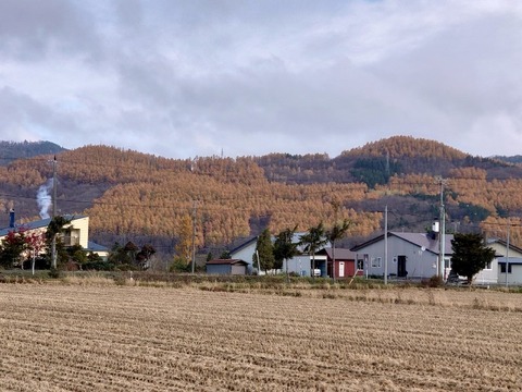 DSC_1884_copy_800x600