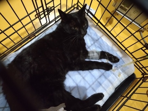 20250924_215912_copy_800x600