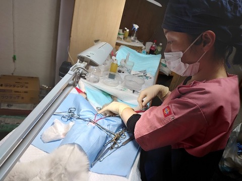 DSC_4236_copy_800x600