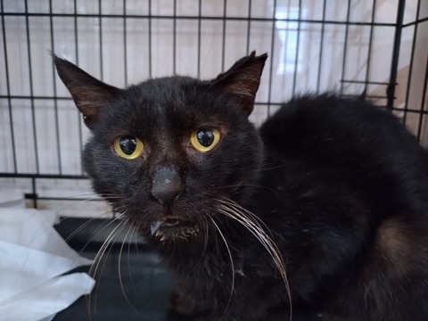 20251209_091515_copy_800x600