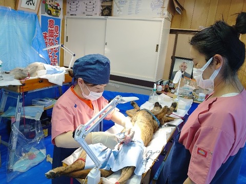 DSC_0886_copy_800x600