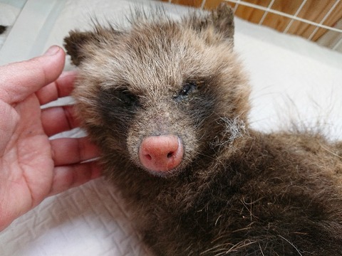 DSC_5841_copy_800x600