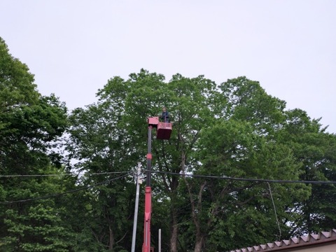 20260508_100502_copy_800x600