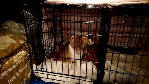 1647567410489_copy_800x450