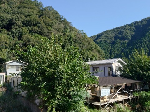 20251023_093755_copy_800x600