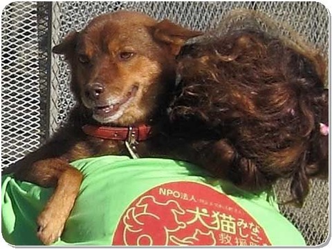 テツとおばちゃん2拡大[1]