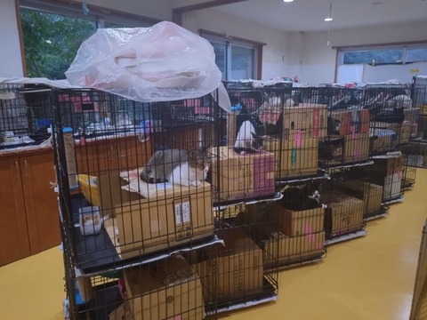 20250921_175806_copy_800x600