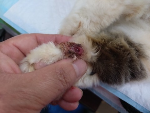 20251126_080538_copy_800x600