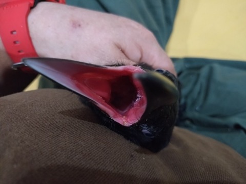 20250620_135758_copy_800x600