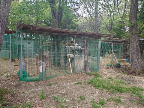 20230421_162728_copy_800x600