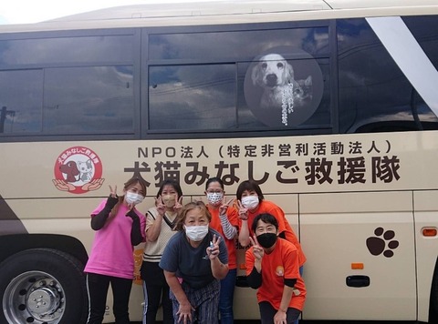 1634892155878_copy_800x593