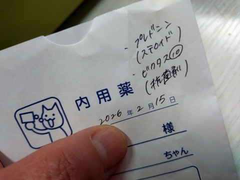 20260305_070104_copy_800x600