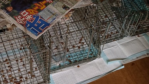 DSC_0547-800x450