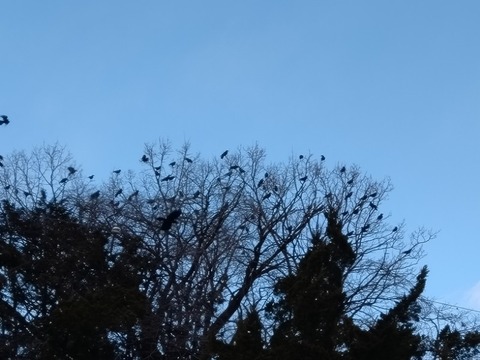 20260202_150922_copy_800x600