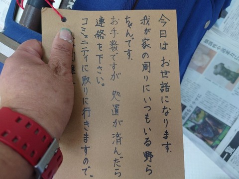 20230618_100003~2_copy_800x600