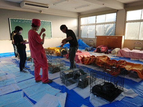 DSCPDC_0001_BURST20191120154600661_COVER-800x600