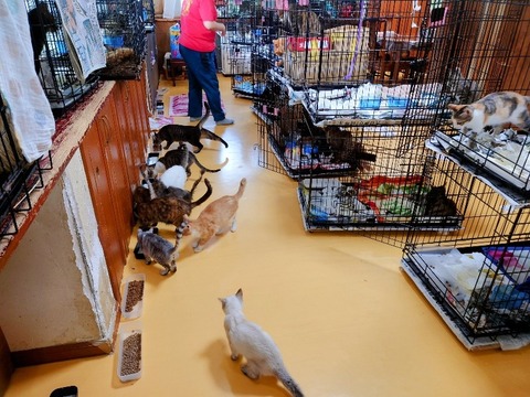 20230301_083812~2_copy_800x600