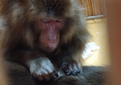 20260130_081445_copy_800x567