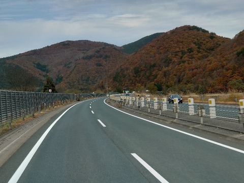 DSC_0986_copy_800x600