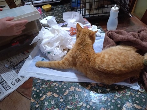 20260129_081219_copy_800x600