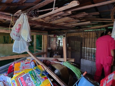 20220723_170125_copy_800x600