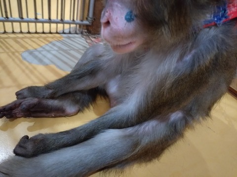 20260223_090550_copy_800x600