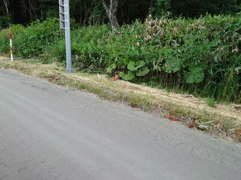 20220711_185154_copy_800x600