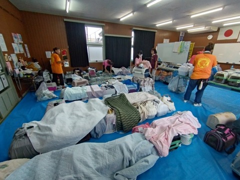 20250625_094326_copy_816x612