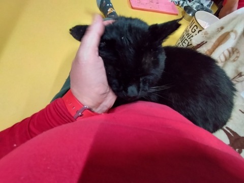 20260109_173950_copy_816x612