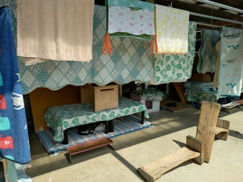 20260819_101825_copy_800x600_1