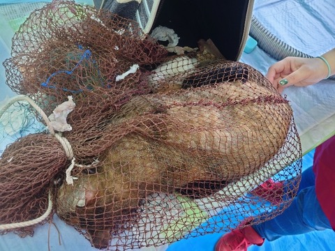 20230405_072152_copy_800x600