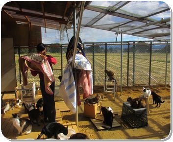IMG_0372