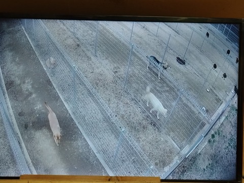 20260306_135603_copy_800x600