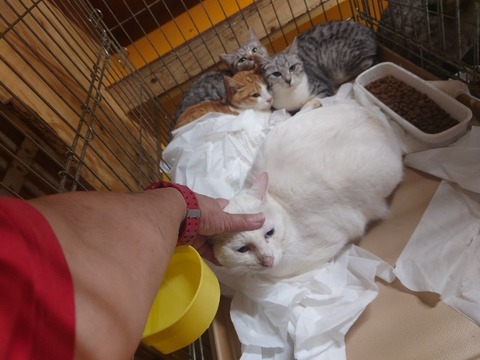 20230607_192528_copy_800x600