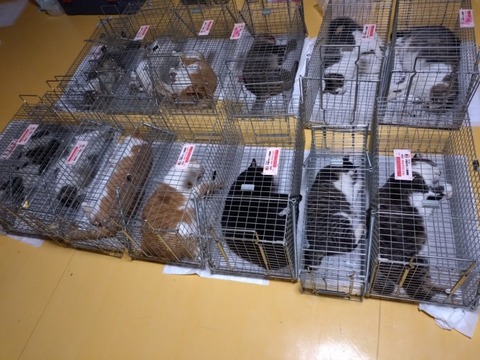 20251217_202632_copy_800x600