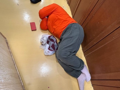 1765259067674_copy_738x554