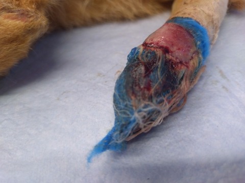 20260120_144437_copy_800x600