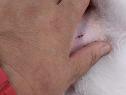 20251126_100335_copy_819x614