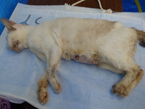 20220722_113245_copy_800x600