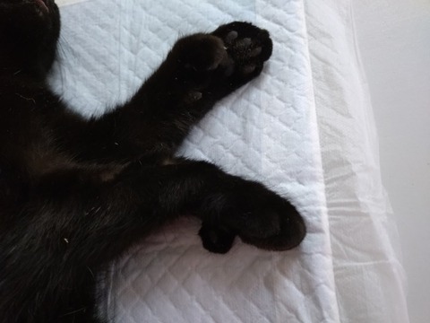 20251224_135906_copy_800x600