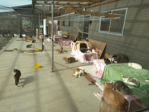 20260306_091149_copy_800x600