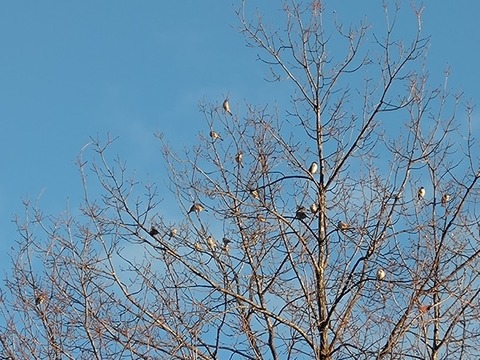 20260114_154833_copy_816x612