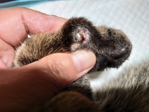 DSC_1623_copy_800x600