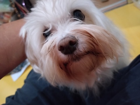 20251021_112854_copy_800x600